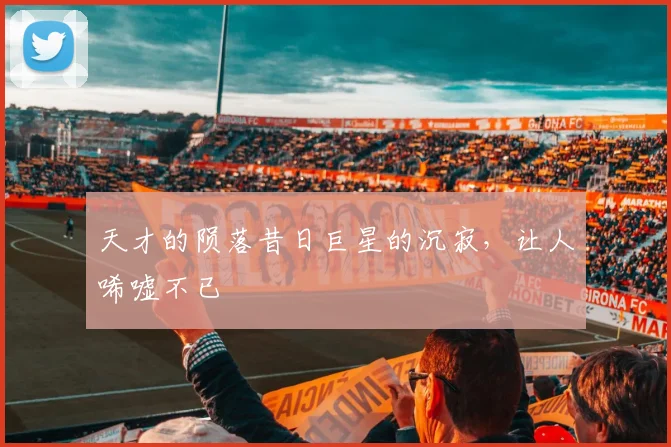 天才的陨落昔日巨星的沉寂，让人唏嘘不已