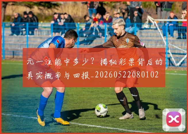 元一注能中多少？揭秘彩票背后的真实概率与回报_20260522080102